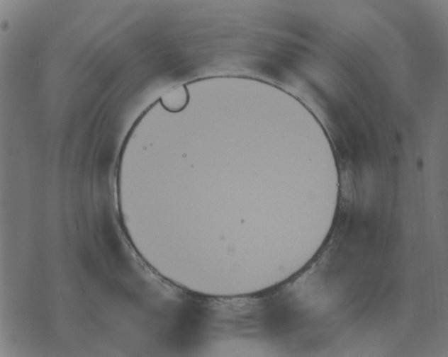 X0000070401150200606231756