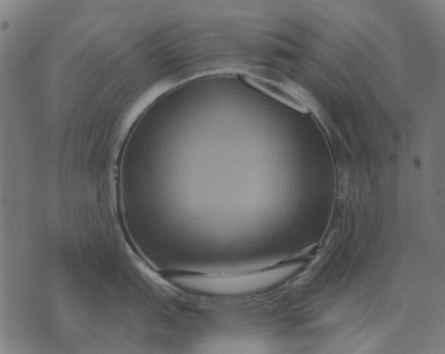 X0000070401151200606231756