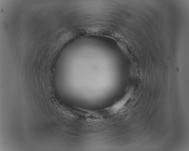 X0000070401153200606231755