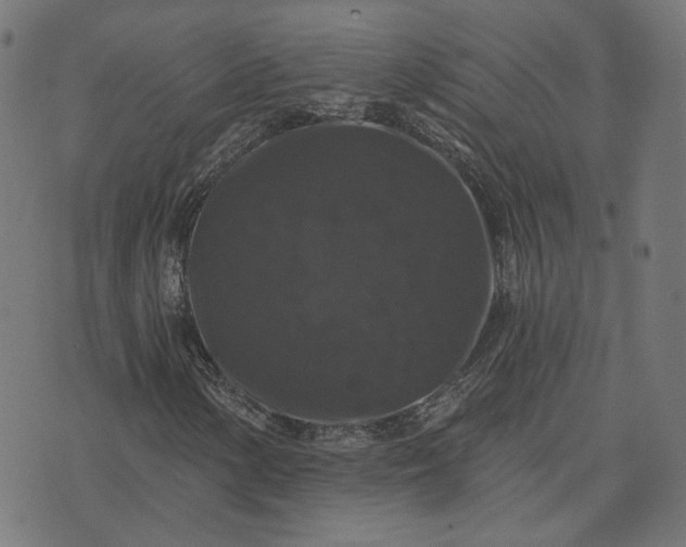 X0000070401154200606231755