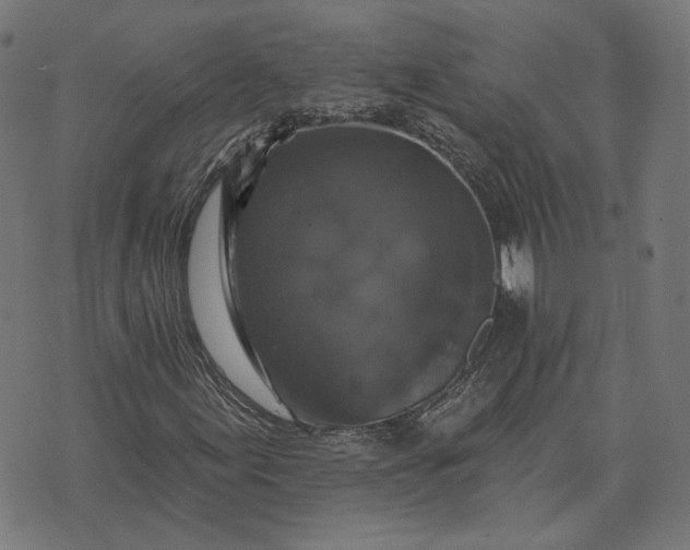 X0000070401155200606231755