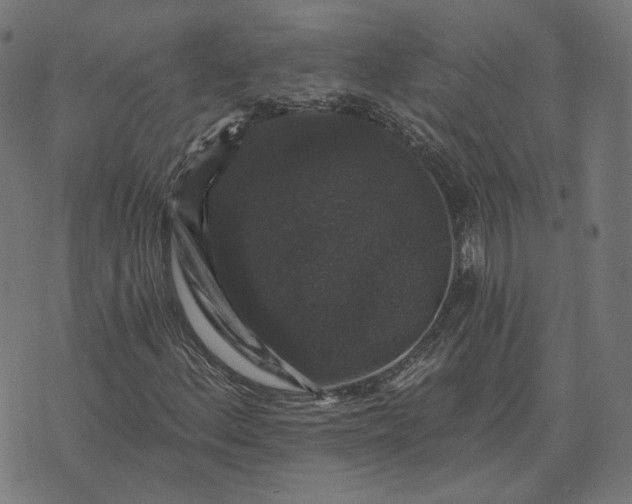 X0000070401156200606231755