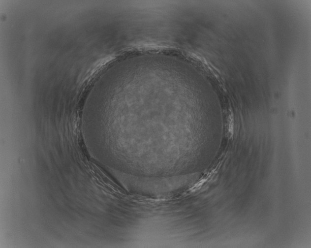 X0000070401157200606231755