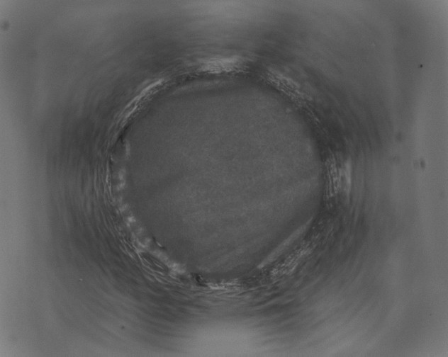 X0000070401158200606231755