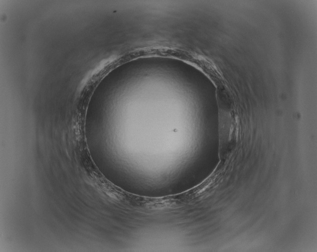 X0000070401159200606231755