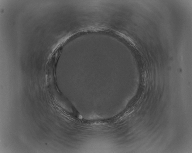 X0000070401160200606231755