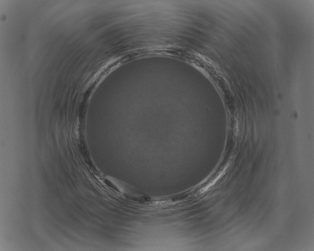 X0000070401161200606231755