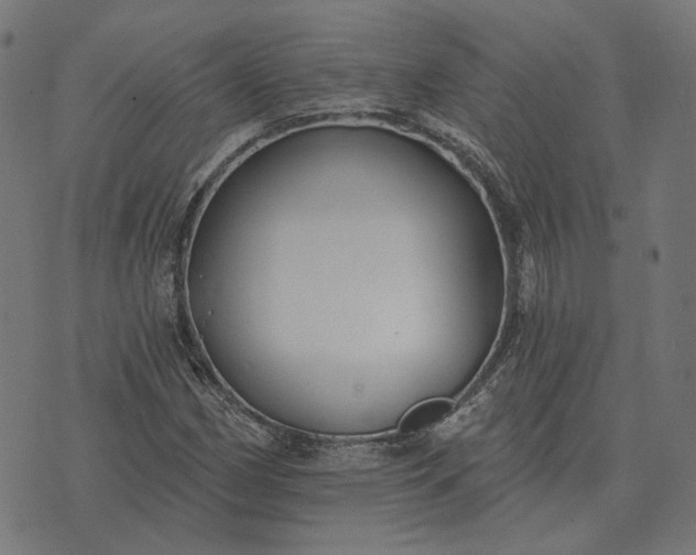 X0000070401162200606231755