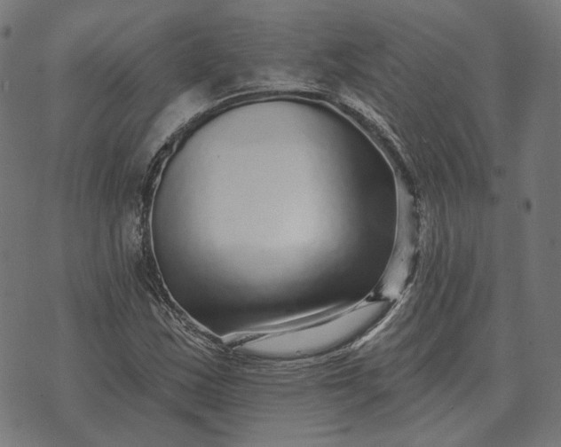 X0000070401163200606231755