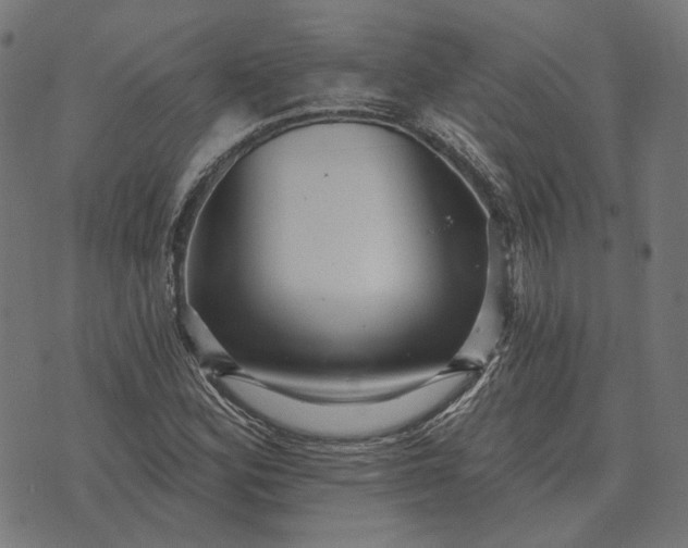 X0000070401164200606231755