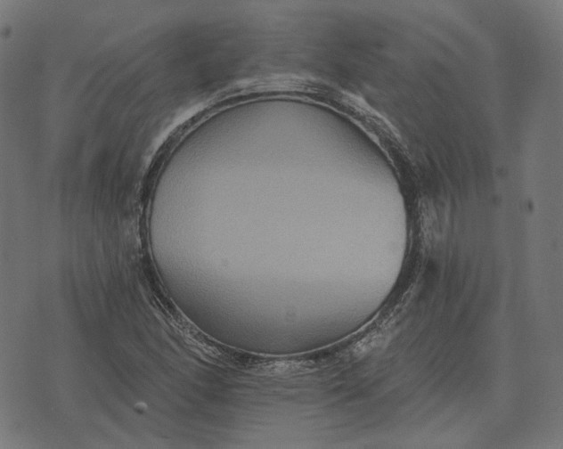 X0000070401166200606231755