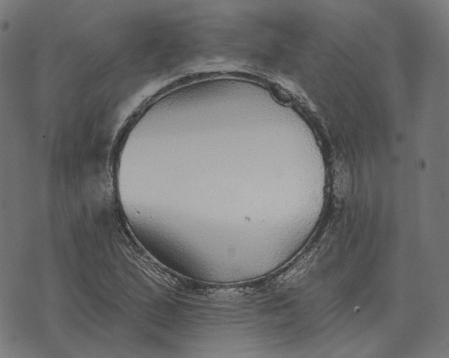 X0000070401167200606231755