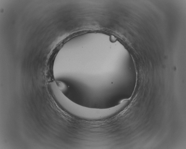 X0000070401168200606231755