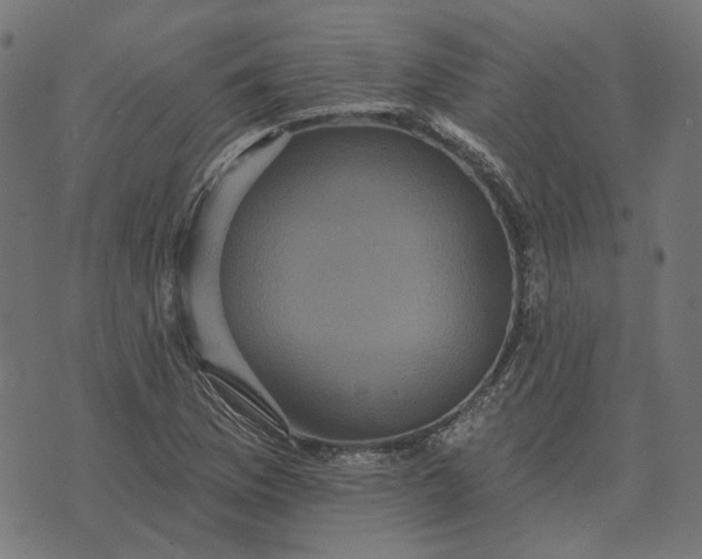 X0000070401169200606231755