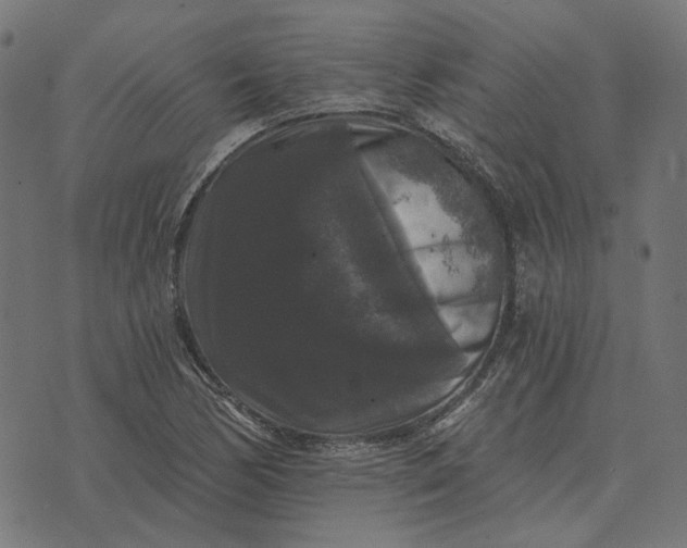 X0000070401170200606231755