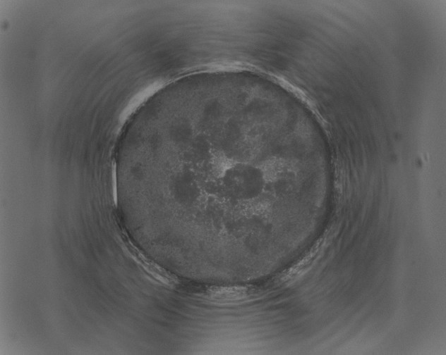 X0000070401171200606231755