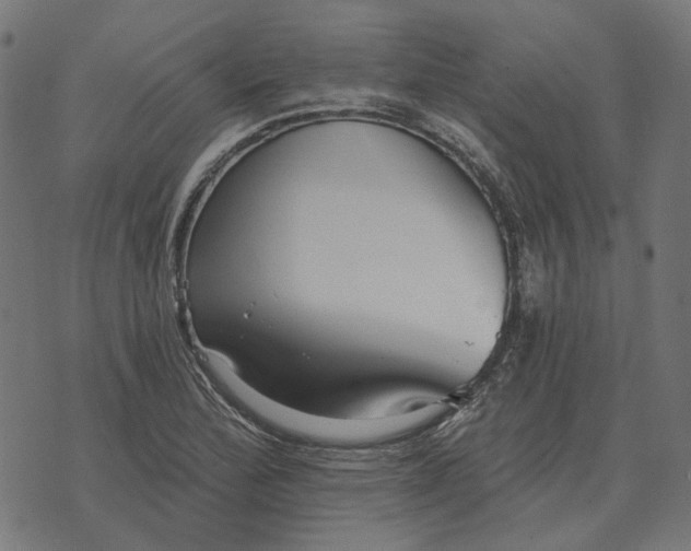 X0000070401172200606231755