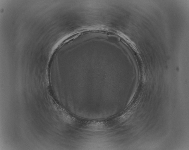 X0000070401174200606231755