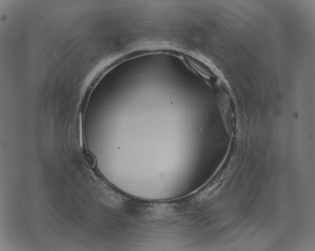 X0000070401175200606231755