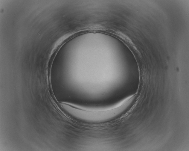 X0000070401176200606231755