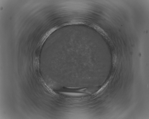 X0000070401177200606231755