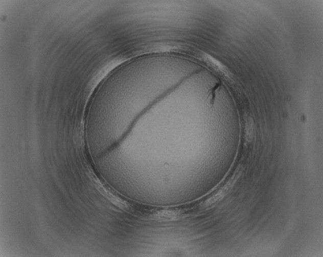 X0000070401178200606231755