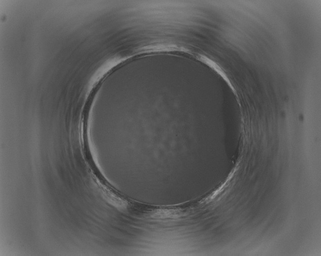 X0000070401179200606231755