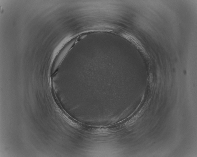 X0000070401180200606231755