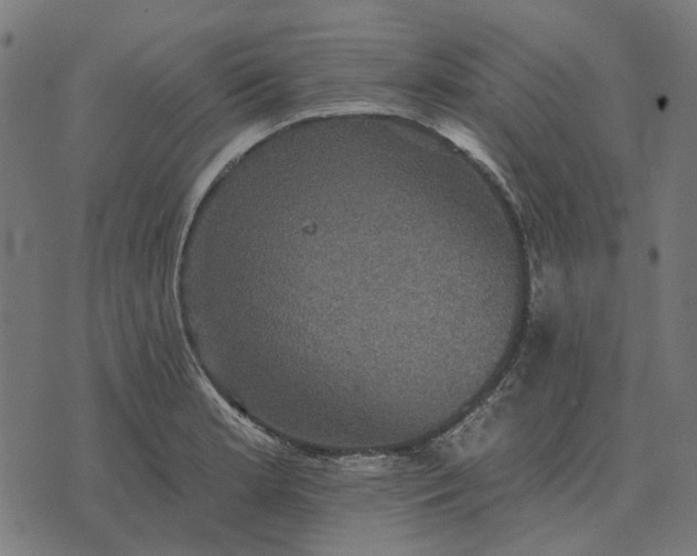 X0000070401181200606231755