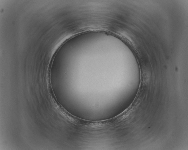 X0000070401182200606231755