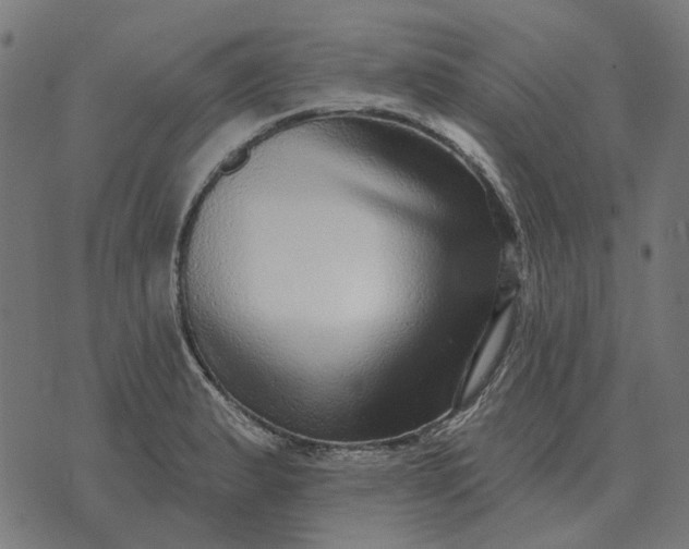 X0000070401183200606231755