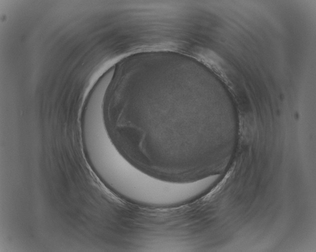 X0000070401184200606231755