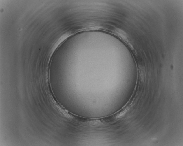 X0000070401186200606231755