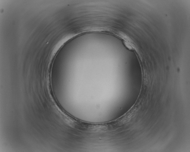 X0000070401187200606231755