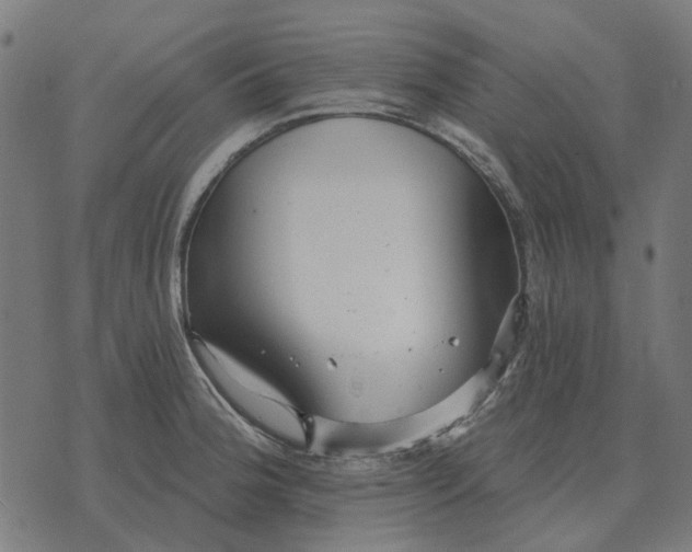 X0000070401188200606231755