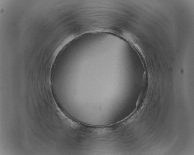 X0000070401189200606231755