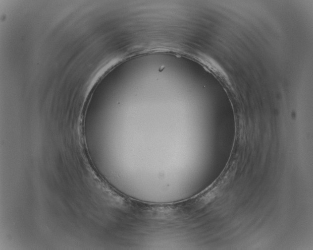 X0000070401190200606231755