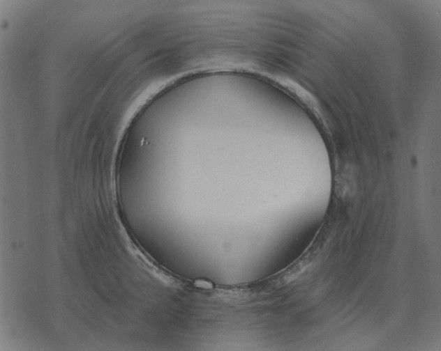 X0000070401191200606231755