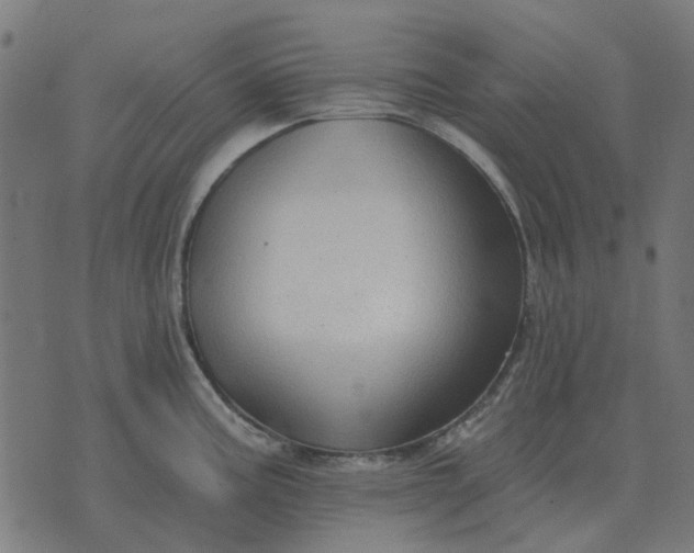 X0000070401195200606231755