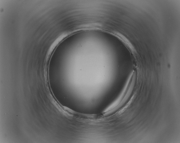 X0000070401196200606231755