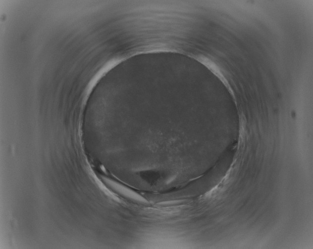 X0000070401197200606231754