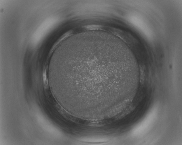 X0000070401198200606231754