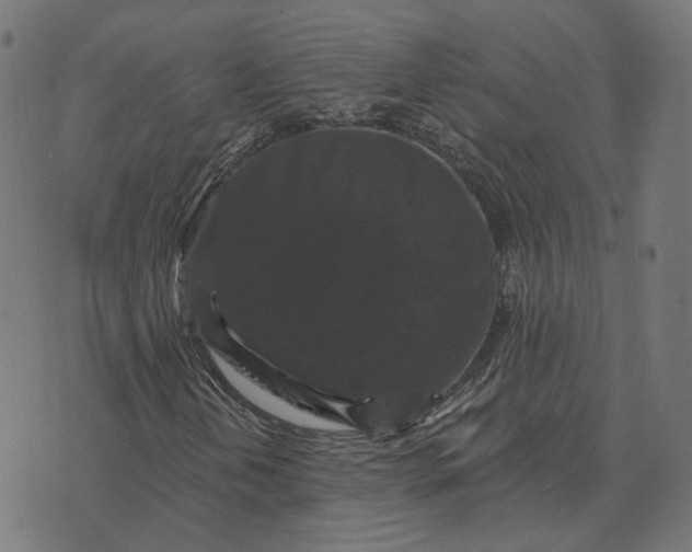 X0000070401202200606231754