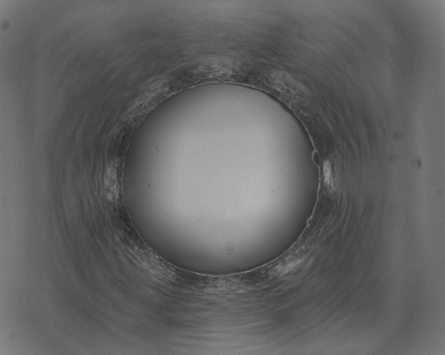 X0000070401203200606231754