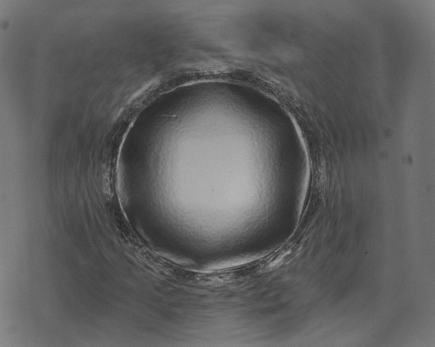 X0000070401205200606231754