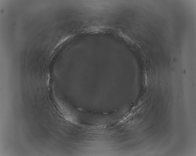 X0000070401206200606231754