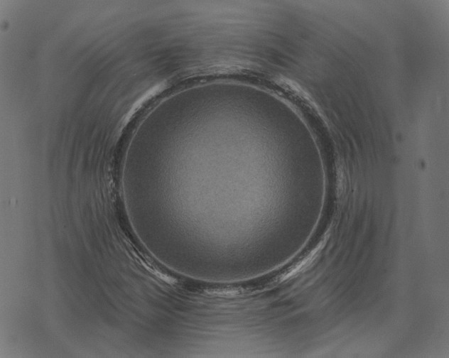 X0000070401210200606231754