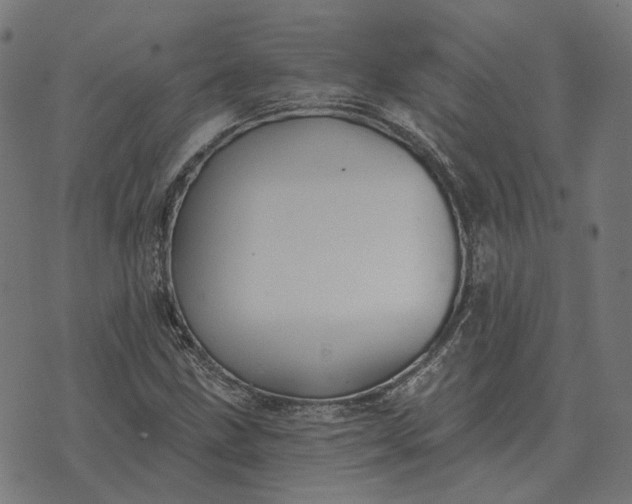 X0000070401211200606231754