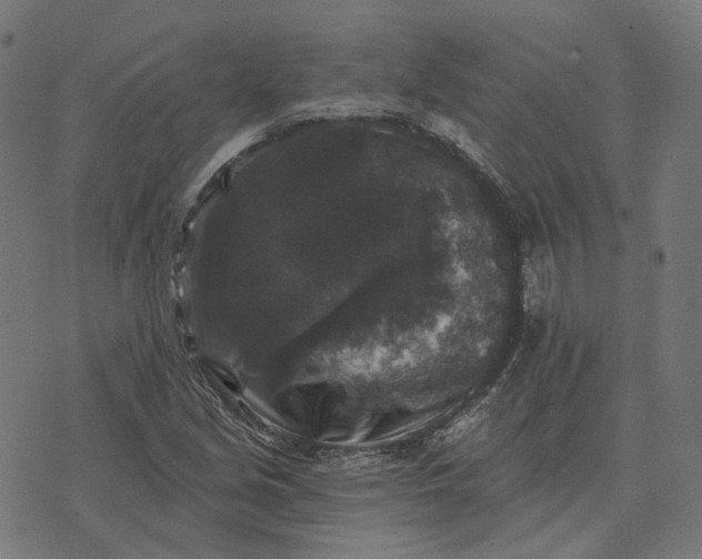 X0000070401213200606231754