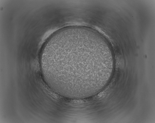 X0000070401215200606231754